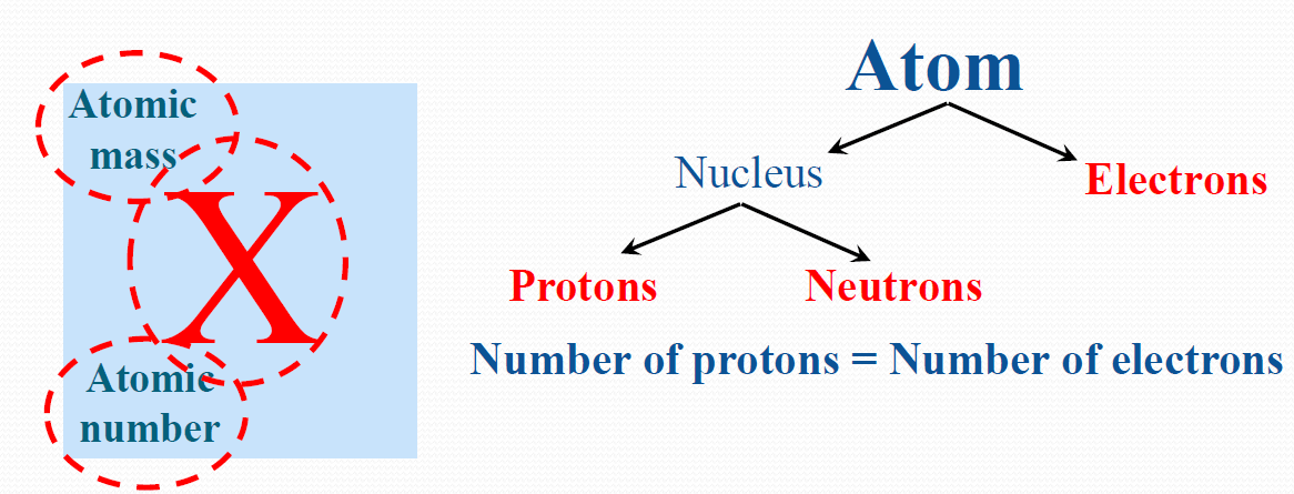 Atomic Number and Mass