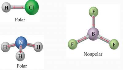 polar-nonpolar-structures-a