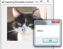 PictureBox Controls 6