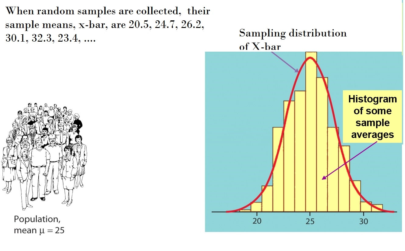 sampling-distribution 1